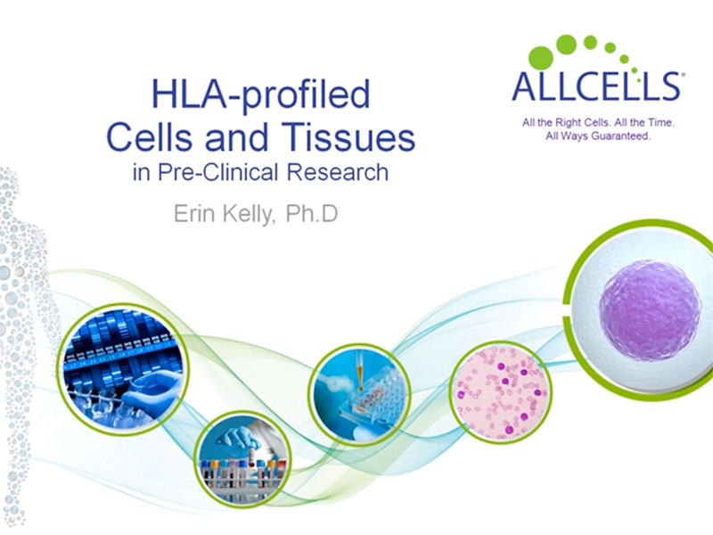 HLA-Profiled Cells & Tissues in Preclinical Research