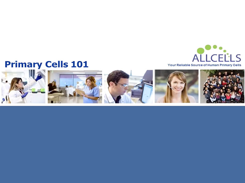 Primary Cells 101: A webinar on human and animal-derived primary cells