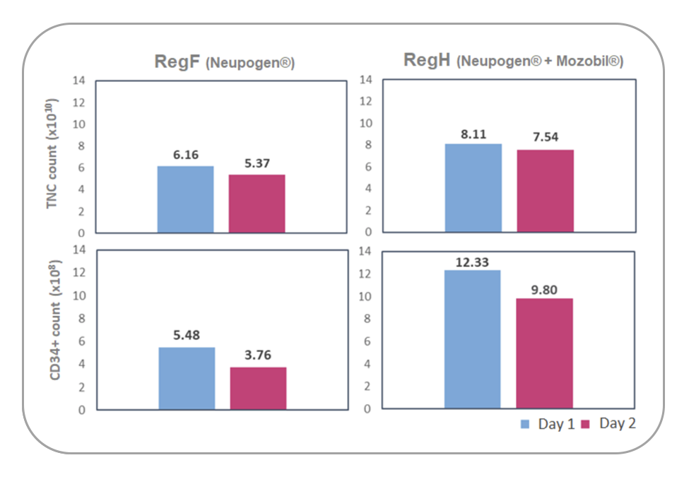 The average TNC (x1010 cells) and the CD34+ count (x108 cells) for Day 1 and 2 apheresis collections for RegF and RegH mobilization regimens are very comparable.