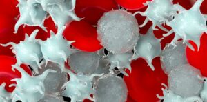mobilized peripheral blood