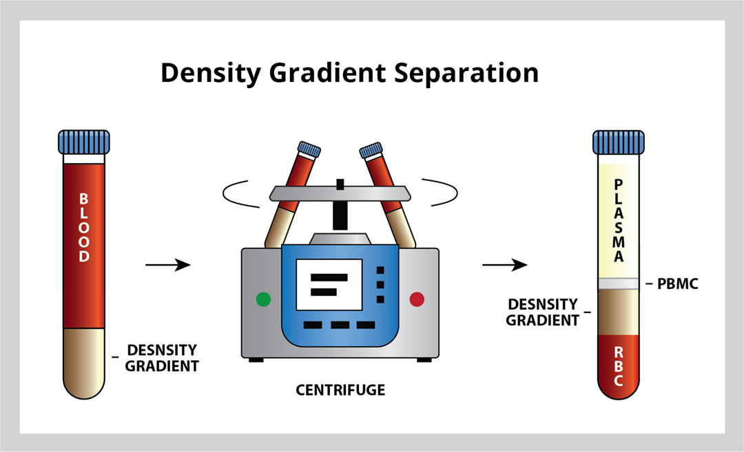 FAQ Series What is the difference between Buffy Coat and Leukapheresis
