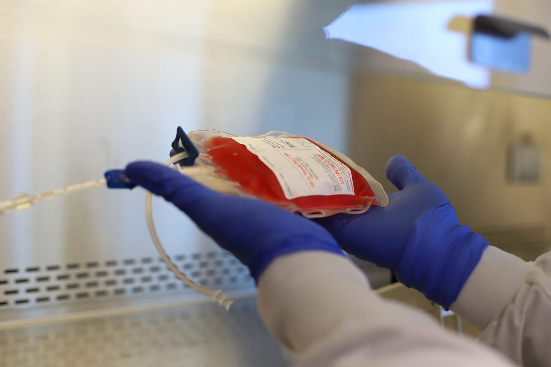 High Quality Human Primary Cells and Whole Tissue Products AllCells®