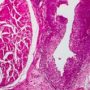 product_bkgd_sm_biospecimens