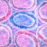 AllCells Good Manufacturing Practices Facilitates Good Products