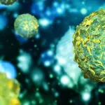 AllCells clinical grade bone marrow stem cells