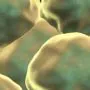 product_bkgd_sm_cord_blood product_bkgd_sm_cord_blood